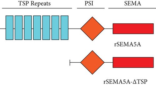 Details are in the caption following the image