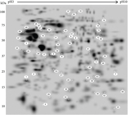 Details are in the caption following the image Details are in the caption following the image