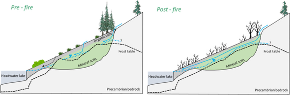 Hydrological resilience to forest fire in the subarctic Canadian shield
