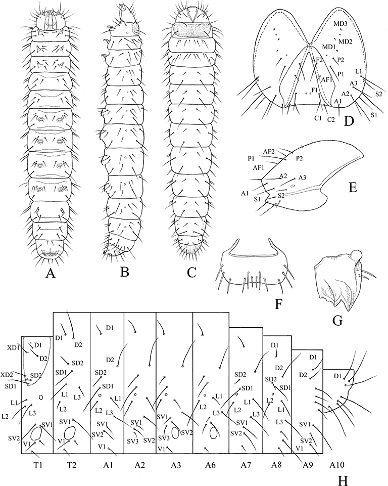 Details are in the caption following the image Details are in the caption following the image