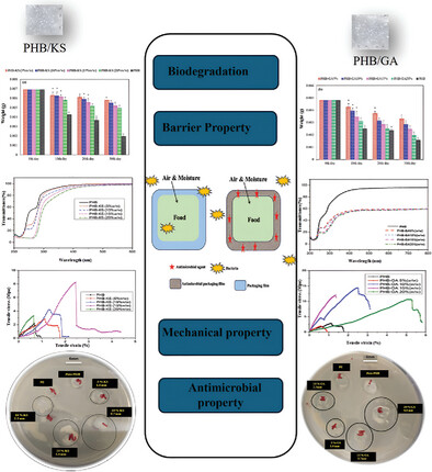 A Comprehensive Study on the Antimicrobial Activity of Polyhydroxybutyrate (PHB) Film Incorporated with Gallic Acid and Potassium Sorbate