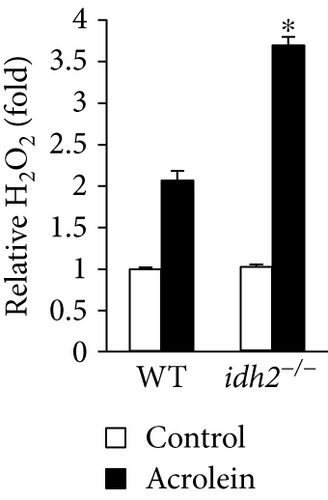 Details are in the caption following the image