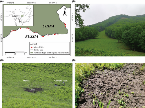 Details are in the caption following the image Details are in the caption following the image