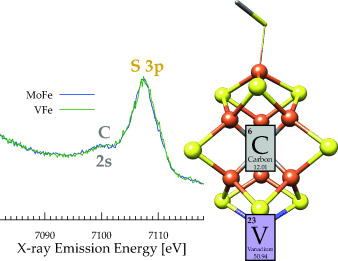 The Fe–V Cofactor of Vanadium Nitrogenase Contains an Interstitial Carbon Atom