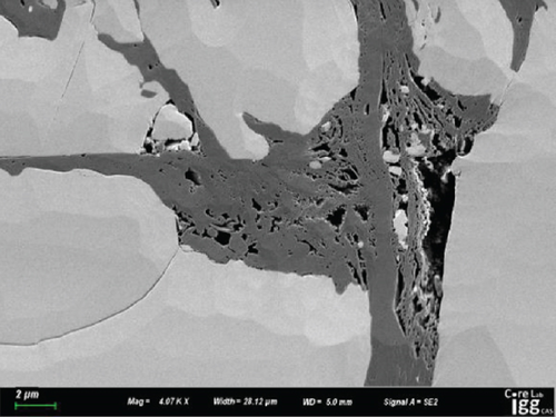 Details are in the caption following the image