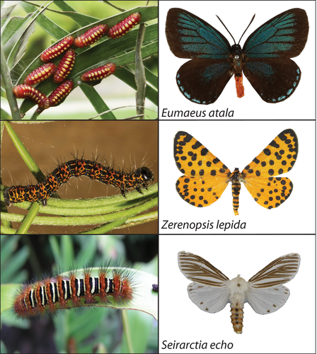 Details are in the caption following the image Details are in the caption following the image