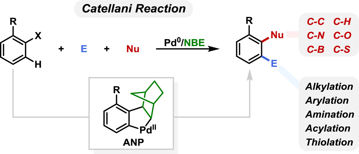 Catellani Reaction: An Enabling Technology for Vicinal Functionalization of Aryl Halides by Palladium(0)/Norbornene Cooperative Catalysis