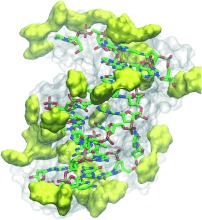 Real-Time Atomistic Description of DNA Unfolding