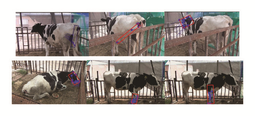 Details are in the caption following the image Details are in the caption following the image