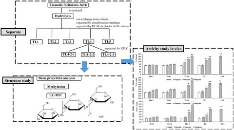 Preparation, characterization, and cytokine-stimulating activity of oligosaccharides from Tremella fuciformis Berk