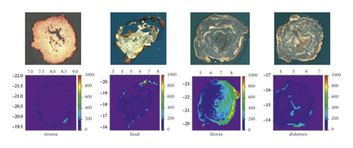 Details are in the caption following the image Details are in the caption following the image