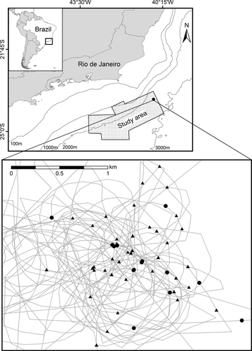 Details are in the caption following the image Details are in the caption following the image