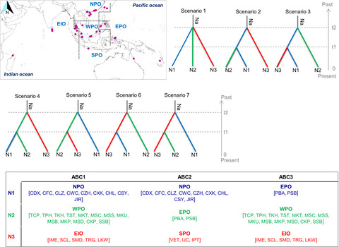 Land masses and oceanic currents drive population structure of Heritiera littoralis, a widespread mangrove in the Indo-West Pacific