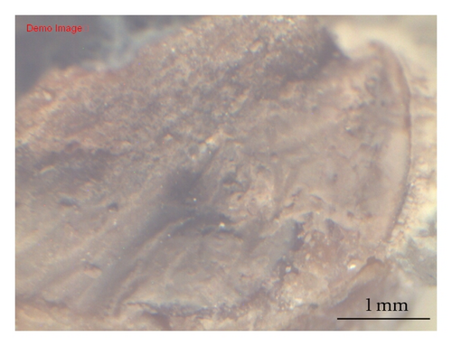 Details are in the caption following the image