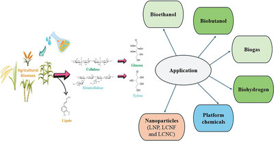 Technological Advancement in Product Valorization of Agricultural Wastes Treated with Deep Eutectic Solvents: A Review