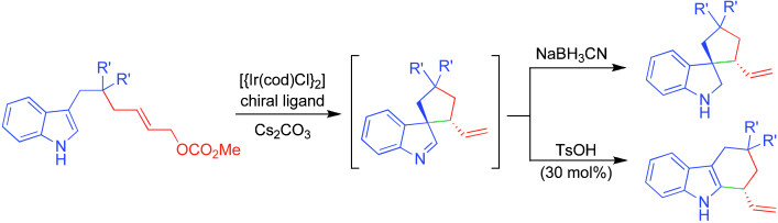 Enantioselective Synthesis of Spiro Cyclopentane-1,3′-indoles and 2,3,4,9-Tetrahydro-1H-carbazoles by Iridium-Catalyzed Allylic Dearomatization and Stereospecific Migration