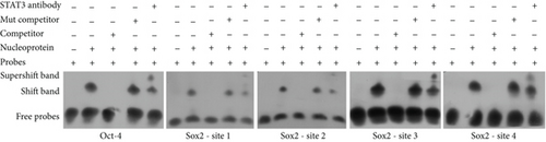 Details are in the caption following the image