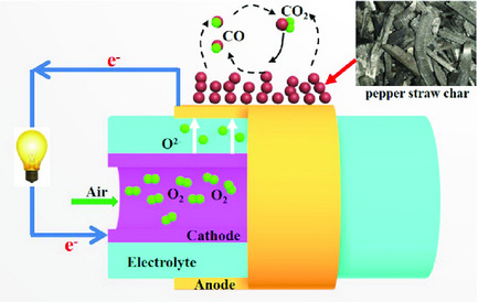 A Microtubular Direct Carbon Solid Oxide Fuel Cell Operated on the Biochar Derived from Pepper Straw