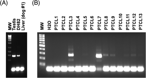 Details are in the caption following the image
