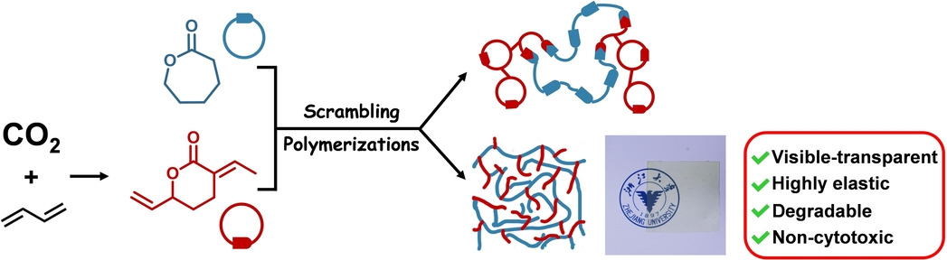 A Topology-Defined Polyester Elastomer from CO2 and 1,3-Butadiene: A One-Pot-One-Step “Scrambling Polymerizations” Strategy
