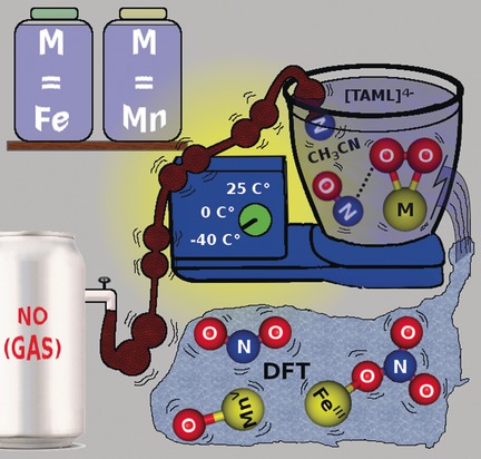 Mechanistic Insight into the Nitric Oxide Dioxygenation Reaction of Nonheme Iron(III)–Superoxo and Manganese(IV)–Peroxo Complexes