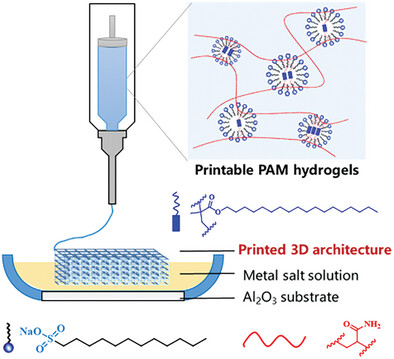 Dynamic Micelle-Hydrogels for 3D-Architected Transition Metal Sulfides