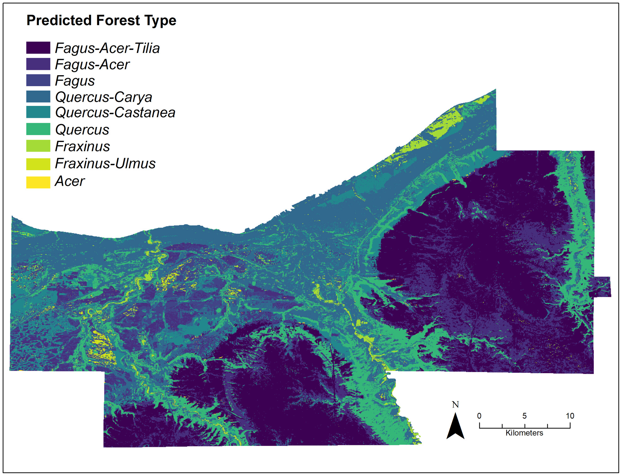 Presettlement Tree Distributions and Forest Types of Northeast Ohio, USA, Mapped With Species Distribution Models