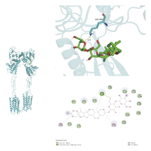 Details are in the caption following the image Details are in the caption following the image