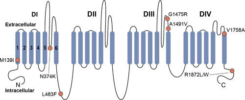 Details are in the caption following the image Details are in the caption following the image