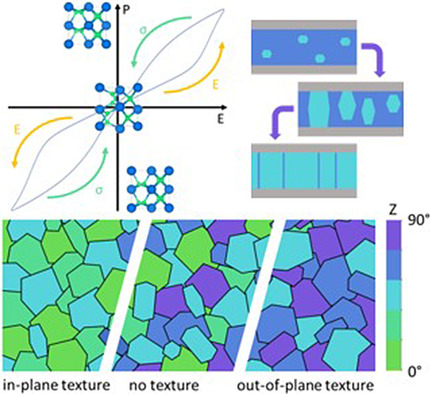 On the Origin of Wake-Up and Antiferroelectric-Like Behavior in Ferroelectric Hafnium Oxide
