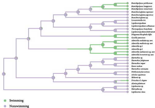 Details are in the caption following the image Details are in the caption following the image
