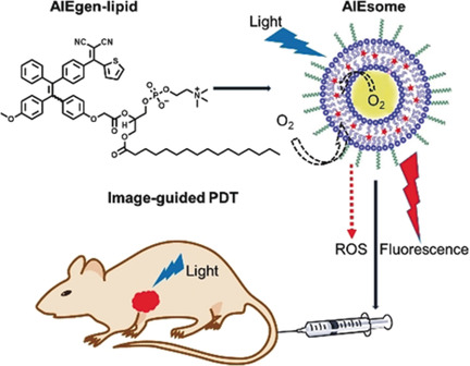 Multifunctional Liposome: A Bright AIEgen–Lipid Conjugate with Strong Photosensitization