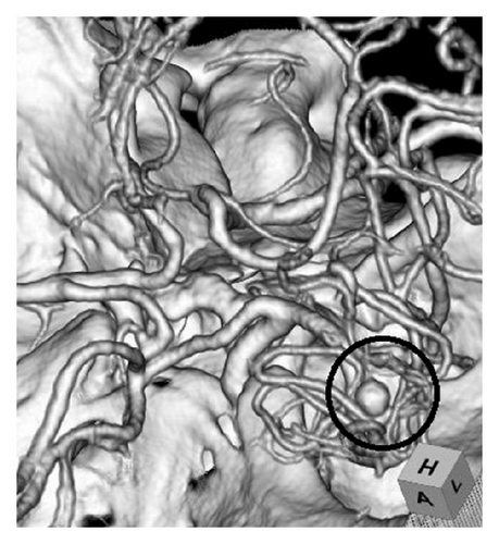 Details are in the caption following the image Details are in the caption following the image