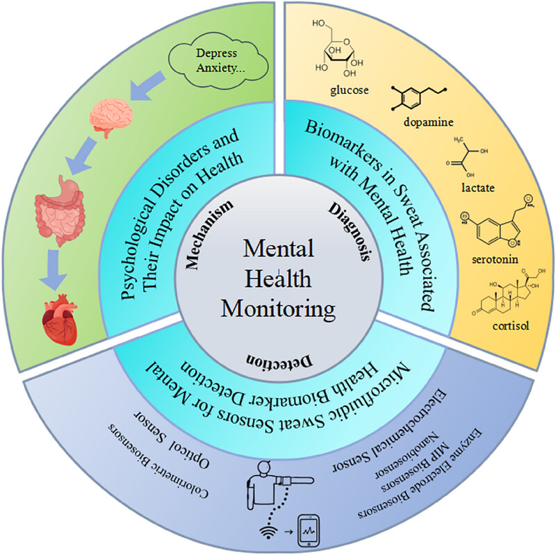 Development and application of microfluidic sweat detection technology in mental health monitoring