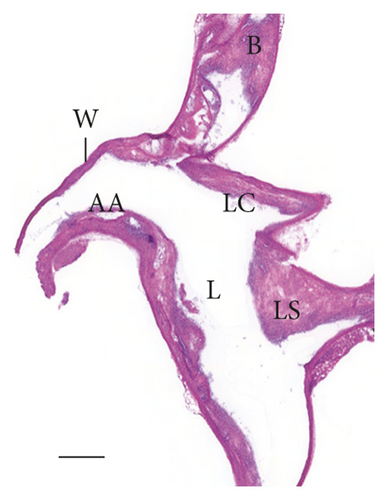 Details are in the caption following the image Details are in the caption following the image