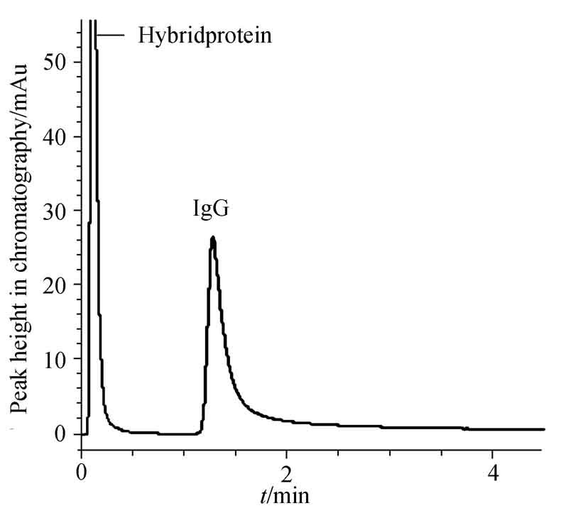 Separation of Immunoglobulin in Conjunction with High Performance Liquid Chromatography Using Poly(vinyl ester resin) Monolith