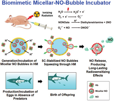 Biomimetic Engineering of a Scavenger-Free Nitric Oxide-Generating/Delivering System to Enhance Radiation Therapy