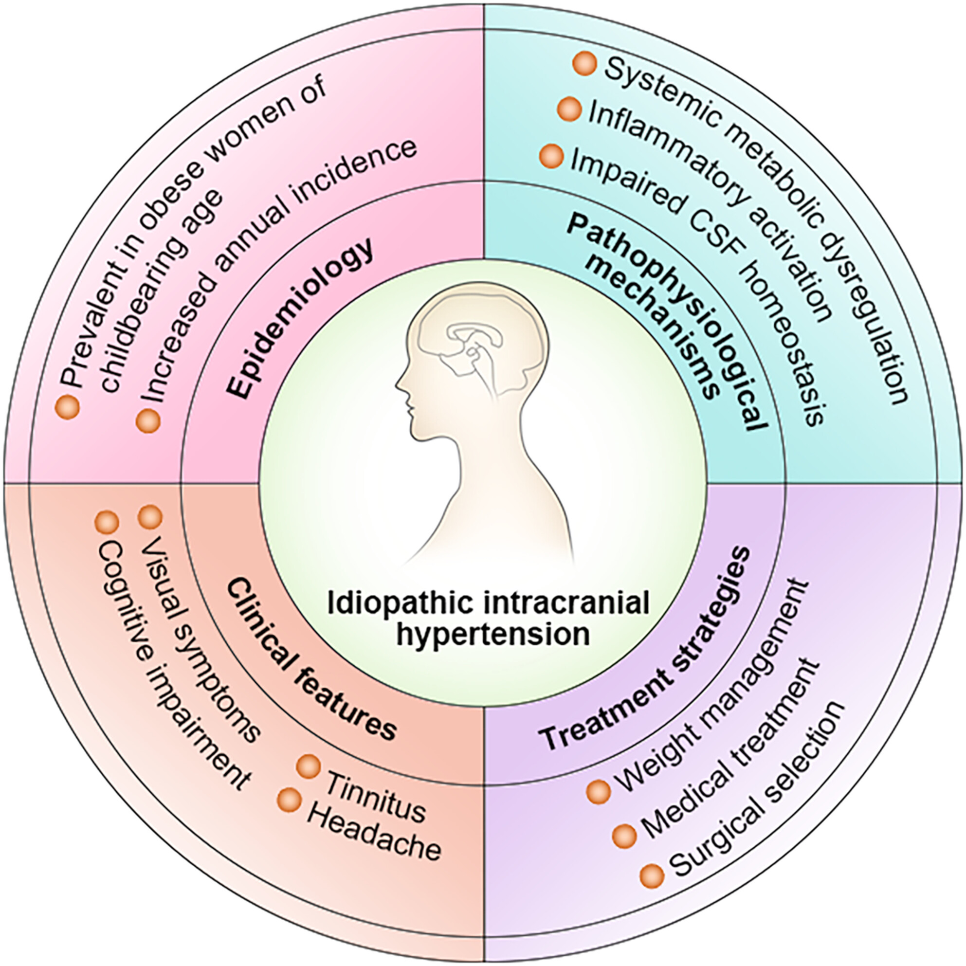 Progress and recognition of idiopathic intracranial hypertension: A narrative review
