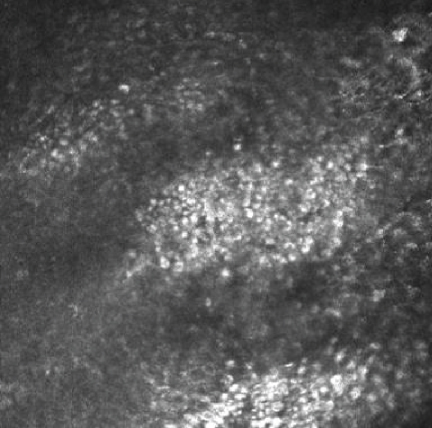 Details are in the caption following the image