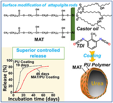 Surface grafting stearic acid to the coupling agent on attapulgite: A reinforced filler in castor oil-based polyurethane coating