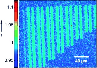 Seeing Molecules by Eye: Surface Plasmon Resonance Imaging at Visible Wavelengths with High Spatial Resolution and Submonolayer Sensitivity