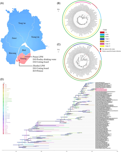 Details are in the caption following the image Details are in the caption following the image