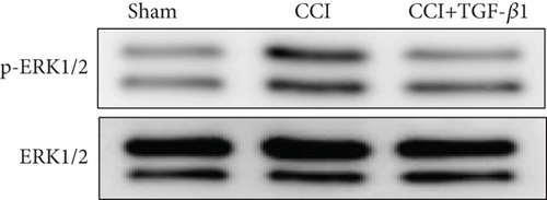 Details are in the caption following the image