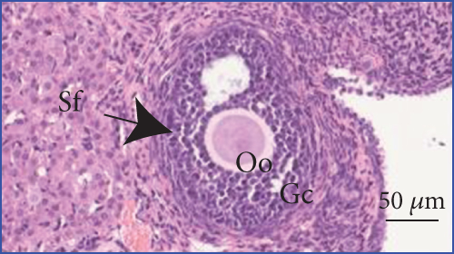 Details are in the caption following the image