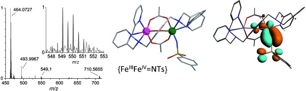 A Diiron(III,IV) Imido Species Very Active in Nitrene-Transfer Reactions