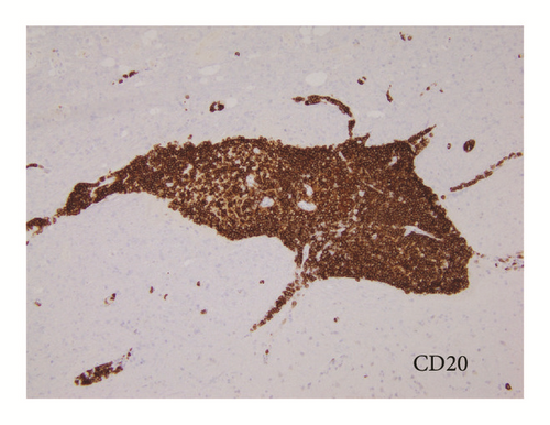 Details are in the caption following the image Details are in the caption following the image