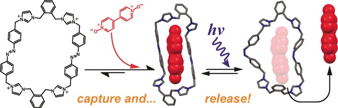 A Dynamic and Responsive Host in Action: Light-Controlled Molecular Encapsulation