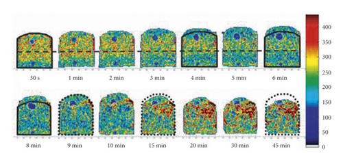 Details are in the caption following the image Details are in the caption following the image