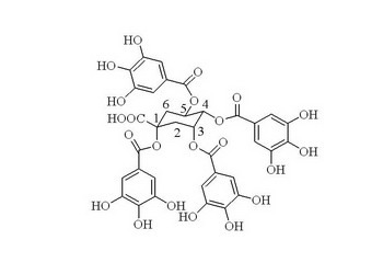 Rapid Identification of the Antioxidant Constituent of Koelreuteria Henryi