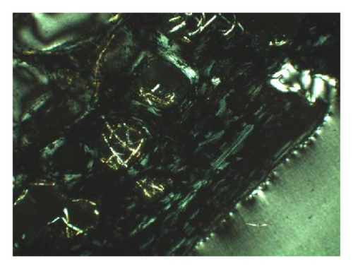 Details are in the caption following the image